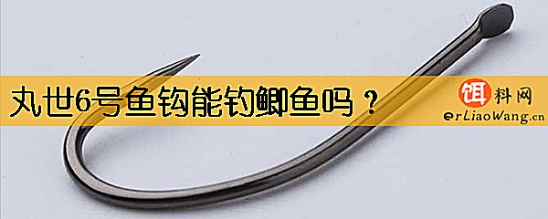 丸世6号鱼钩能钓鲫鱼吗