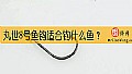 《丸世8号鱼钩适合钓什么鱼？》封面图