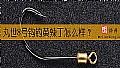 《丸世8号钩钓黄辣丁怎么样？》封面图