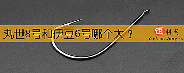 丸世8号和伊豆6号哪个大