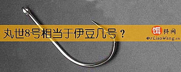 丸世8号相当于伊豆几号