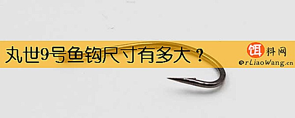 丸世9号鱼钩尺寸有多大