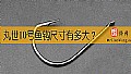 《丸世10号鱼钩尺寸有多大?》封面图