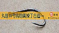 《丸世10号钩钓黄辣丁合适吗?》封面图