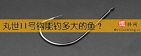 丸世11号钩能钓多大的鱼