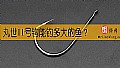 《丸世11号钩能钓多大的鱼?》封面图