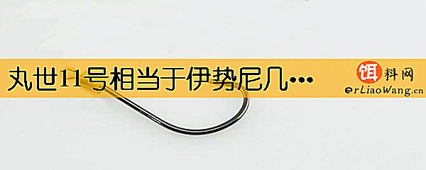丸世11号相当于伊势尼几号