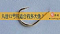 丸世12号钩适合钓多大鱼？