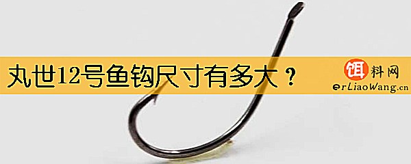 丸世12号鱼钩尺寸有多大