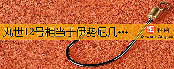 丸世12号相当于伊势尼几号