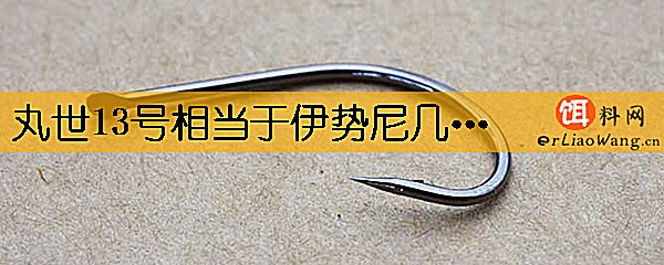 丸世13号相当于伊势尼几号