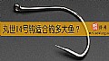 《丸世14号钩适合钓多大鱼？》封面图