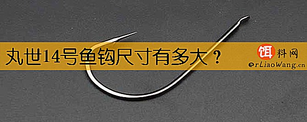 丸世14号鱼钩尺寸有多大
