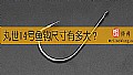 《丸世14号鱼钩尺寸有多大？》封面图