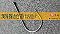 《溪流钩适合钓什么鱼？》封面图