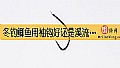 《冬钓鲫鱼用袖钩好还是溪流钩?》封面图