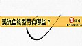 《溪流鱼钩型号有哪些?》封面图