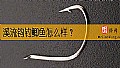 溪流钩钓鲫鱼怎么样?