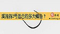溪流钩2号适合钓多大鲫鱼?