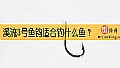 《溪流3号鱼钩适合钓什么鱼?》封面图