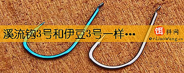 溪流钩3号和伊豆3号一样大吗