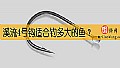 溪流4号钩适合钓多大的鱼？