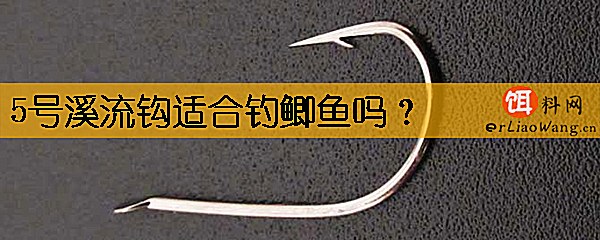 5号溪流钩适合钓鲫鱼吗