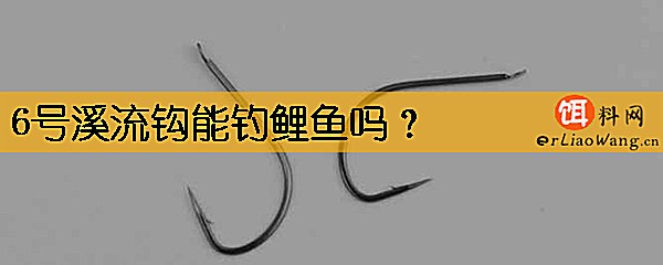 6号溪流钩能钓鲤鱼吗