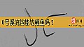 6号溪流钩能钓鲤鱼吗?