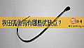 《秋田狐鱼钩有哪些优缺点?》封面图