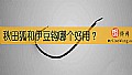 《秋田狐和伊豆钩哪个好用?》封面图