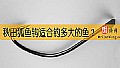 《秋田狐鱼钩适合钓多大的鱼?》封面图