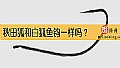 《秋田狐和白狐鱼钩一样吗?》封面图