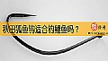 《秋田狐鱼钩适合钓鲤鱼吗？》封面图