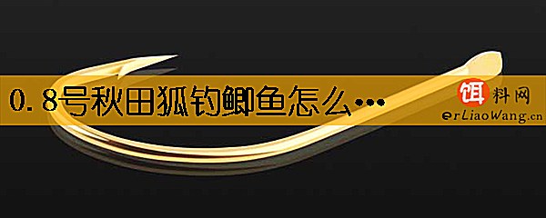 0.8号秋田狐钓鲫鱼怎么样