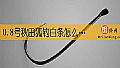 《0.8号秋田狐钓白条怎么样？》封面图