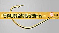 《1号秋田狐鱼钩适合钓什么鱼？》封面图