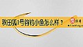 《秋田狐1号钩钓小鱼怎么样？》封面图