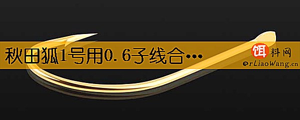 秋田狐1号用0.6子线合适吗
