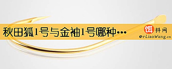 秋田狐1号与金袖1号哪种好