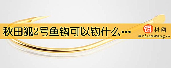 秋田狐2号鱼钩可以钓什么鱼