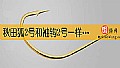 《秋田狐2号和袖钩2号一样大吗?》封面图