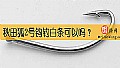 《秋田狐2号钩钓白条可以吗?》封面图