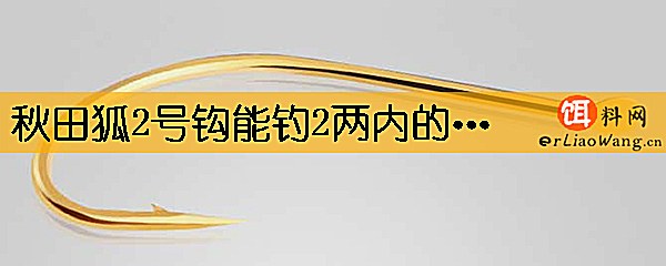 秋田狐2号钩能钓2两内的鱼吗