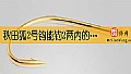 《秋田狐2号钩能钓2两内的鱼吗？》封面图