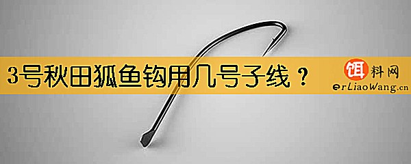 3号秋田狐鱼钩用几号子线