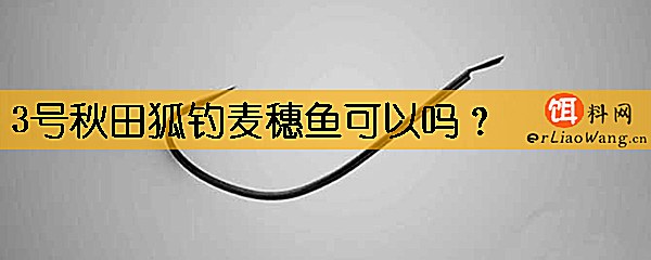 3号秋田狐钓麦穗鱼可以吗
