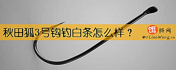 秋田狐3号钩钓白条怎么样