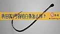 秋田狐3号钩钓白条怎么样?