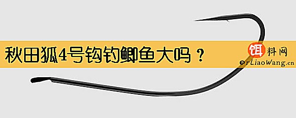 秋田狐4号钩钓鲫鱼大吗